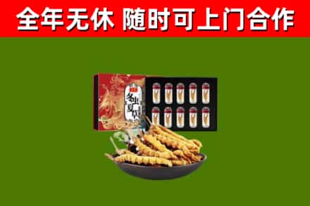 沈丘回收冬虫夏草价格